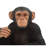 Monkey Sitting Statue