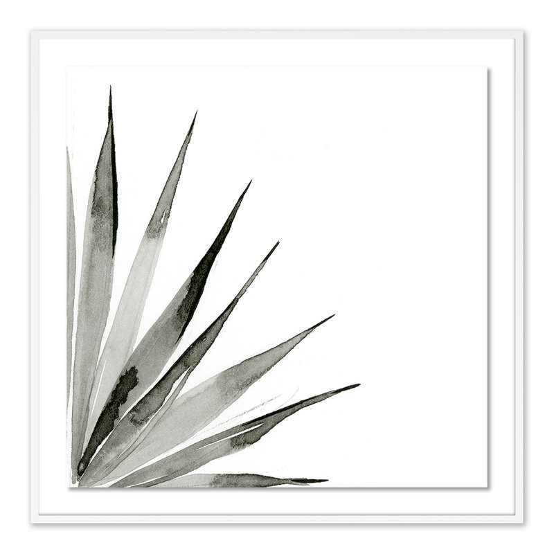 Agave II Print by Jess Engle, White, 48" H x 48" W x 2.5" D