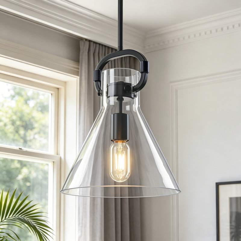 Luminaire suspendu conique industriel 1 lumière, Noir mat