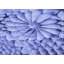 Tapis bleu tissé à la machine Nissman-97818770