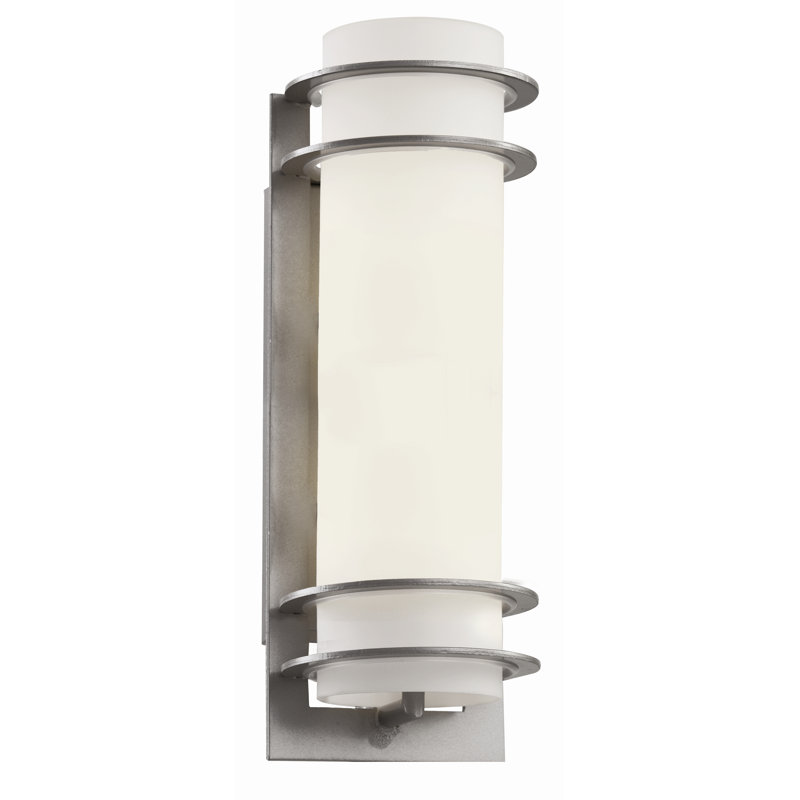 Applique murale d'extérieur en verre givré Sandridge, H 11 po x l 5,5 po x P 5,5 po, Argent