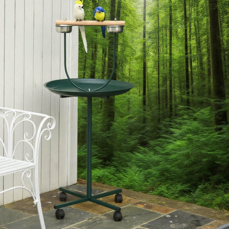 Bird Training Activity Playground With