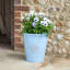 Dinardo Planter-2090435784-2090435789