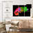 Brampt Color Gradient Chameleon-108138334