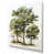 Toile tendue