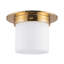 Mineral 8-in Brass Flush Mount-431977217-431977230