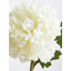 Fiori Chrysanthemum Arrangement