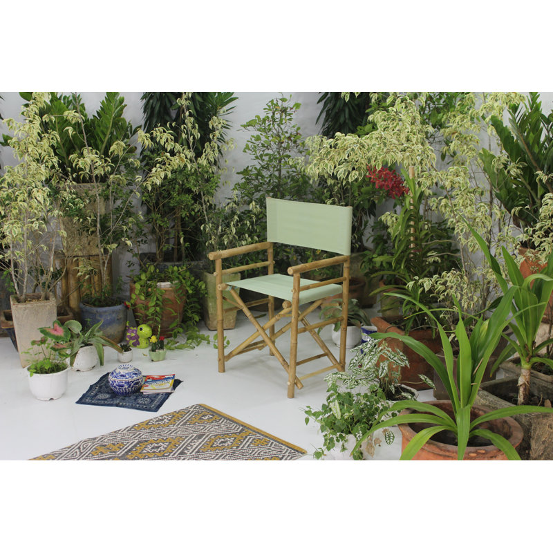 Laseter Folding Director Chair, Celadon