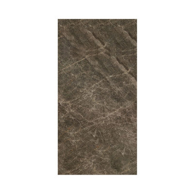 Panneau mural de douche Titan 48 po x 96 po, Summit (brillant), TW4896-KI58G