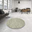Tapis contemporain Olive-1002782762
