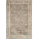 Petronella Viscose Oriental Rug in Ivory/Gray