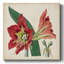 Sur toile-367438333