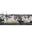 Knupp Abstract Indoor Rug-1281059887
