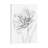 Tulip Sketch by Carol Robinson - Print on Canvas-1265256009-1265256010
