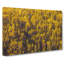 Golden Forest in Abstract - Wrapped Canvas-55316650