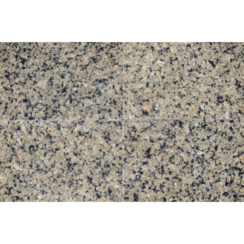 Carreau de mur et de sol en granite 12 po x 12 po, Brun tropical