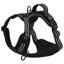 Pet Carrier-644978348