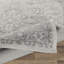 Oriental Area Rug-884162315