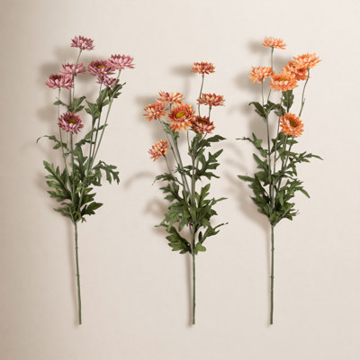 Straw Stem