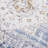 Oriental Indoor / Outdoor Rug-783310148