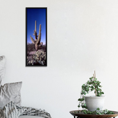 Reproduction de photo panoramique sur toile tendue, parc national de saguaro, tucson