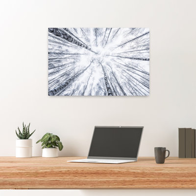 Up Abstract Contemporary Forest Landscape Wall Art Print