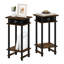 Hartshorn End Table