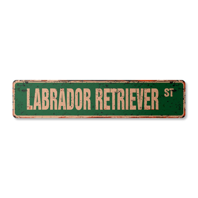Plaque de rue Lab en aluminium 4 po x 18 po