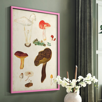 Reproduction encadrée de champignon Mushroom Species