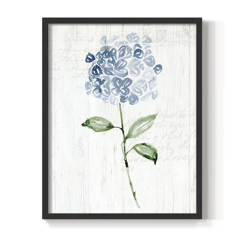 «Garden Botanical II», reproduction encadrée - bois massif, Noir, noir, noir, noir, H 21 po x l 17 po