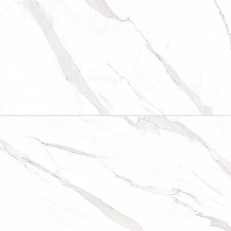 Delaney 24" x 48" Polished Porcelain Floor and Wall Tile