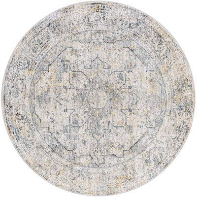 Diera Oriental Indoor Rug