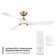 54" Swirl 3 - Blade Outdoor LED Smart Propeller Ceiling Fan with Remote Control and Light Kit Included