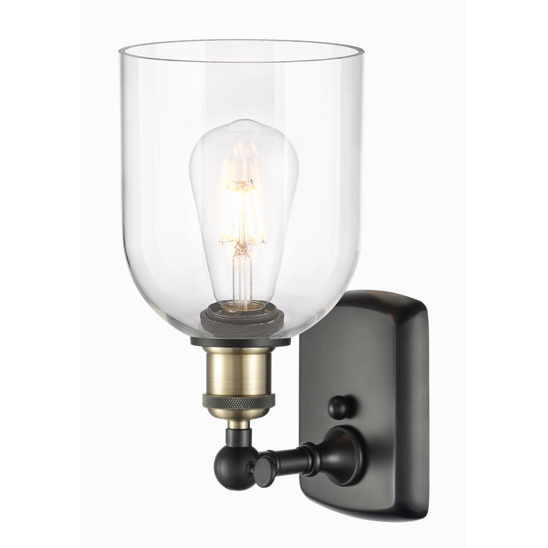 Anacaren Steel Armed Sconce, Clear, Black Antique Brass