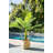 34 " H Faux Palm Tree in Plastic Basket