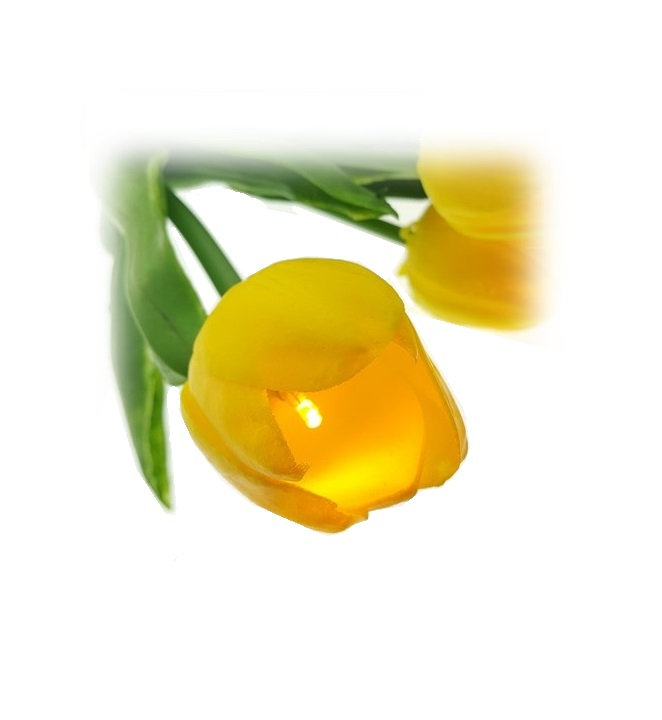 Champ Novelty Lamp, Yellow