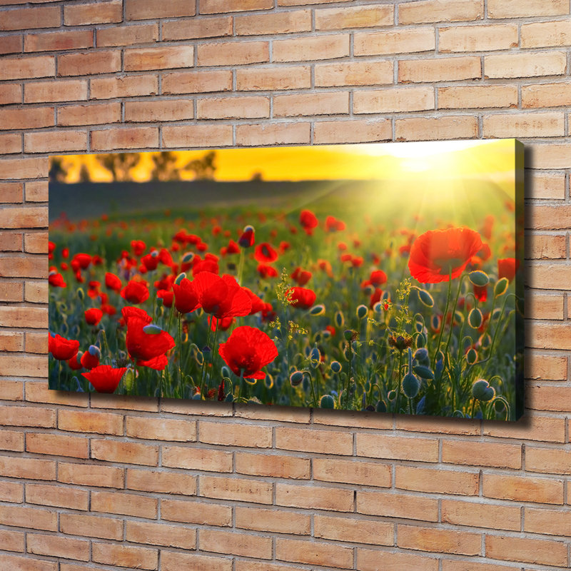Field Of Poppies - Wrapped Canvas Print
