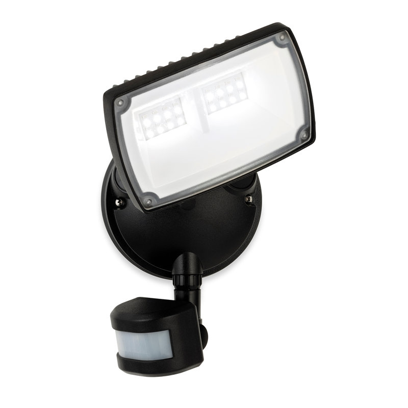 Willmar Flood Light
