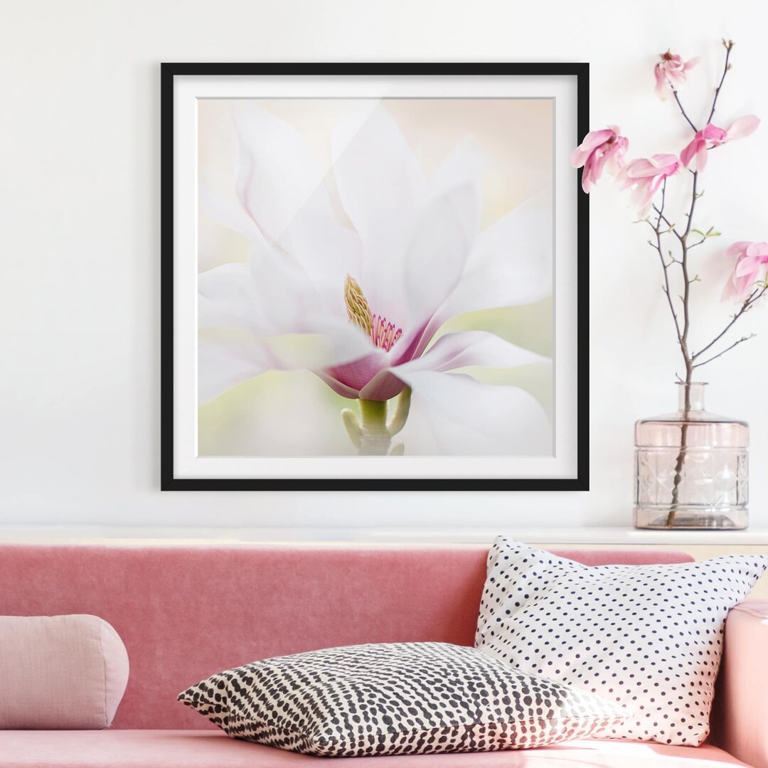 Gerahmtes Papierbild Zarte Magnolienblüte