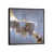 Black Floater Framed