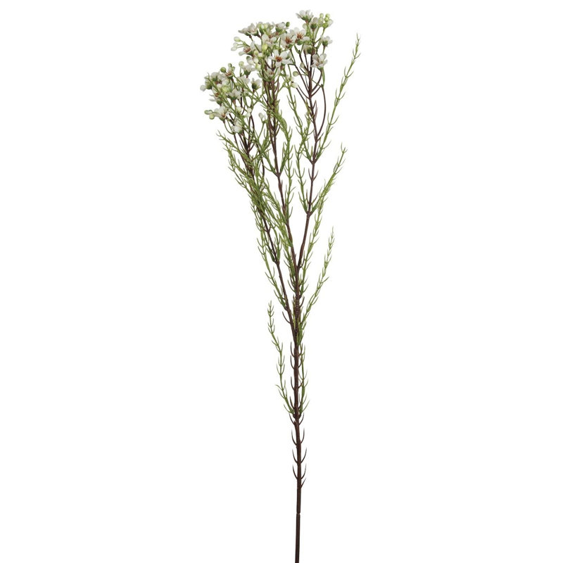 Wax Flower Arrangement, White