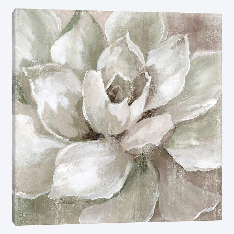 «Hazy Summer Succulent», reproduction sur toile, H 26 po x l 26 po x P 1,5 po, Toile tendue, Pas de tapis