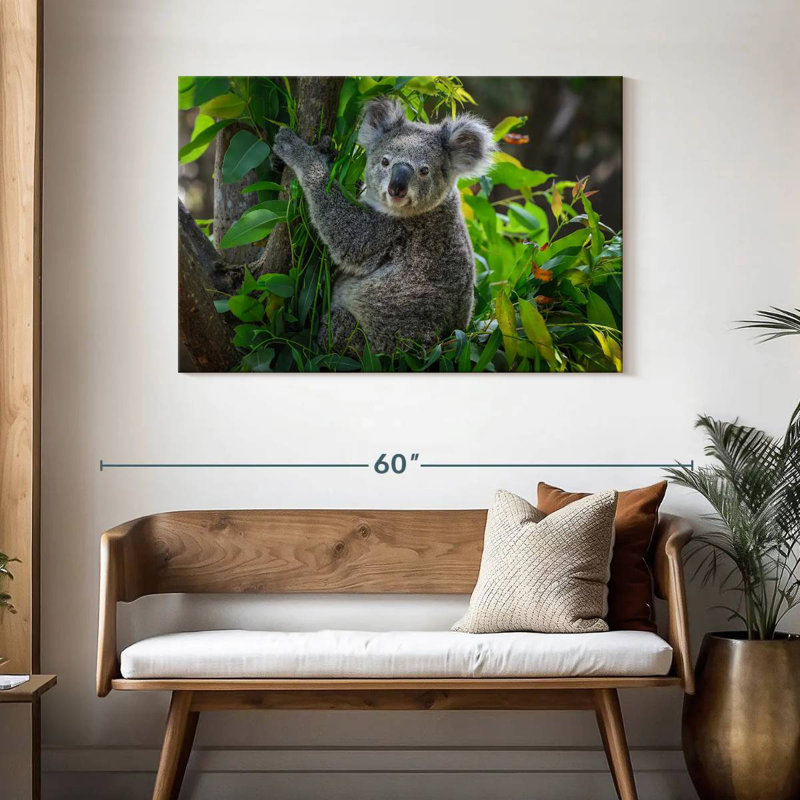 Cute Koala