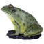 Grande statue de jardin grenouille barrée verte