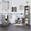 Armoire de rangement Moiseiev