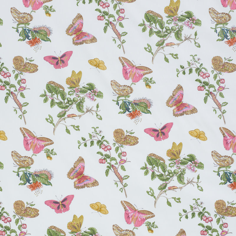 Baudin Butterfly Chintz Fabric, Blush