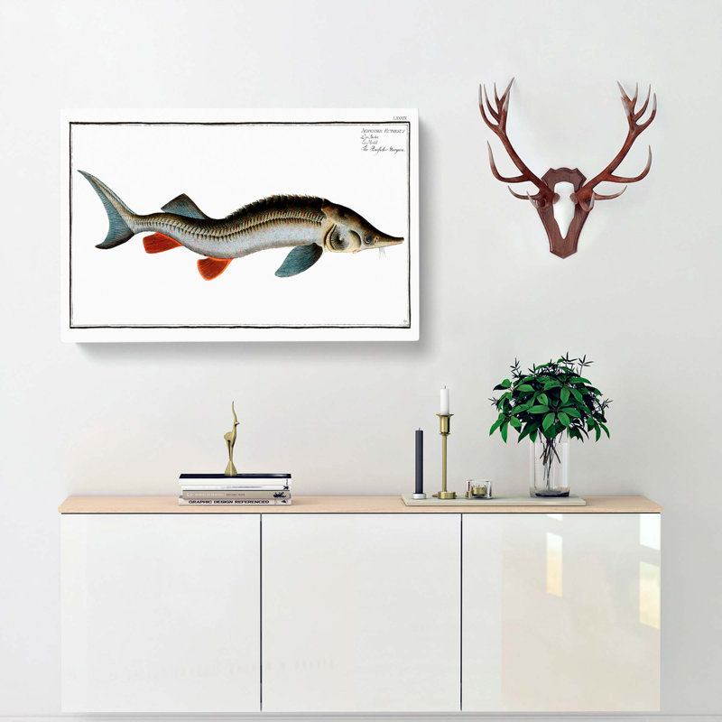 Rusfish-Sturgeon Fish by M.E. Bloch - Wrapped Canvas Print, 40cm H x 60cm W 