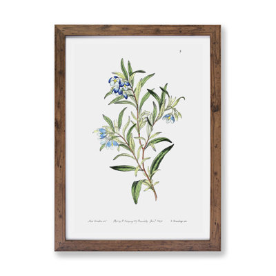 Bluebell Flowers - Single Picture Frame Painting