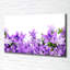 Purple Bells - No Frame Print on Canvas