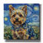  «Yorkshire Terrier Starry Night» par Rich Monet, art mural sur toile, 26 po x 26 po-130695029